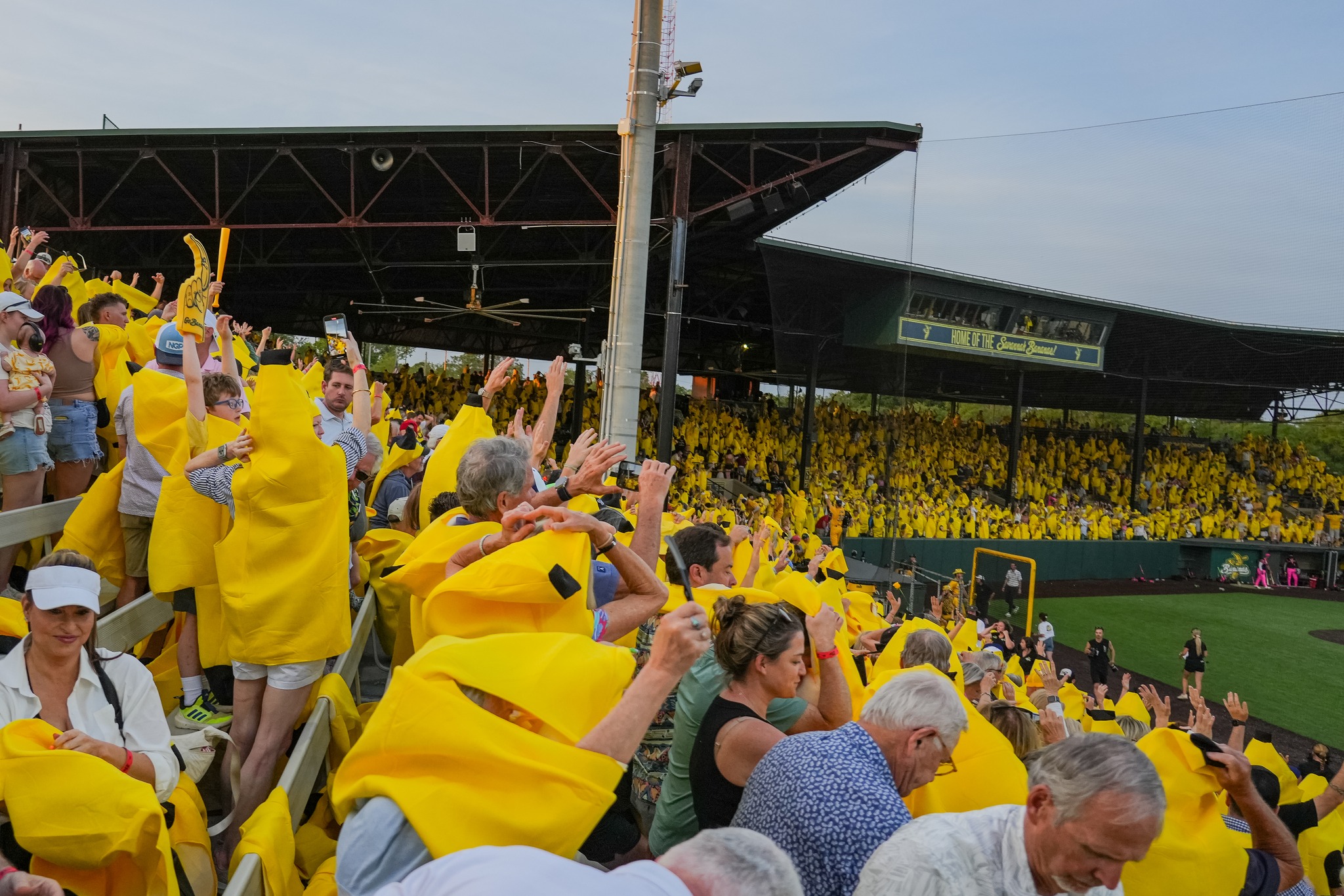 Fans in the stadium stands covered in banana uniforms cheering for the game.
